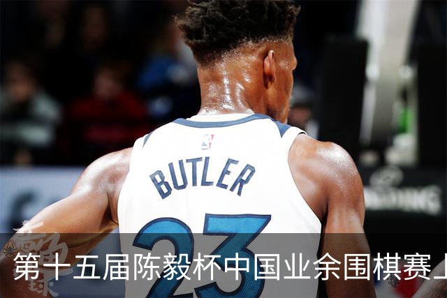 第十五届陈毅杯中国业余围棋赛上海开幕